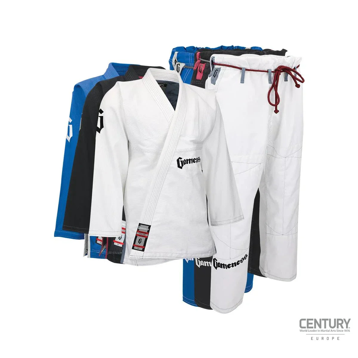 bjj guide